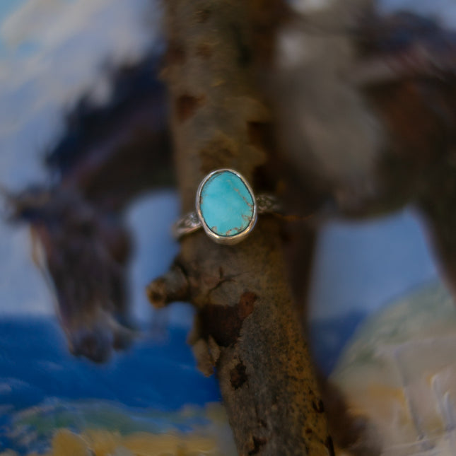 Blueberry Turquoise Ring