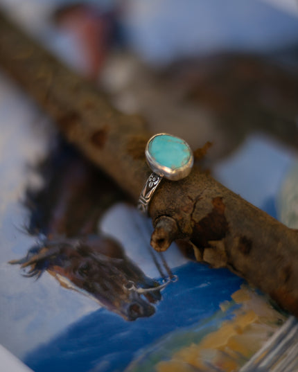 Blueberry Turquoise Ring
