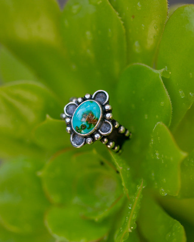 Sonoran Mountain Ring