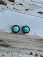 Morenci Turquoise Stud Earrings
