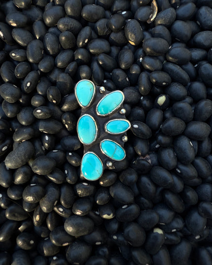 Sonoran Cluster Ring