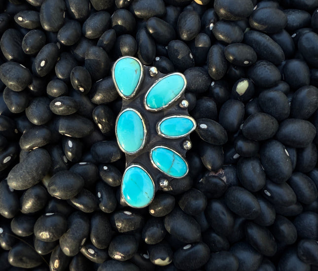 Sonoran Cluster Ring