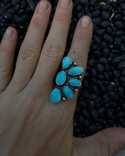 Sonoran Cluster Ring