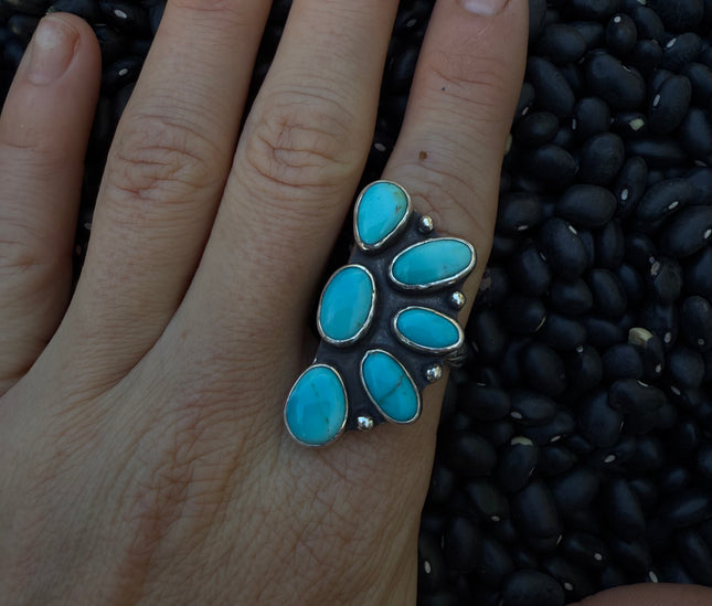 Sonoran Cluster Ring